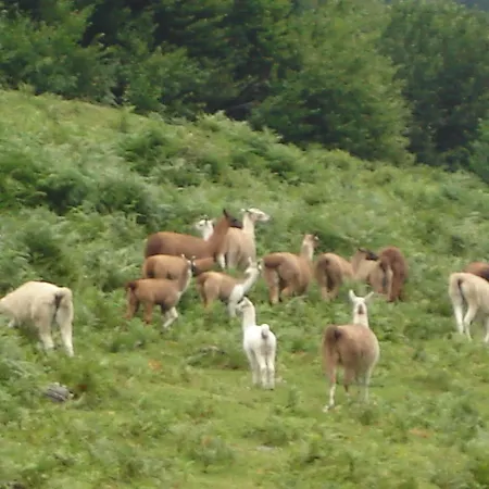 Les Cascades La Mongie