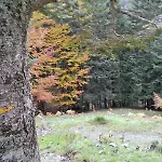 Les Cascades