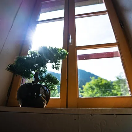 Les Cascades 3* Ла-Монжи