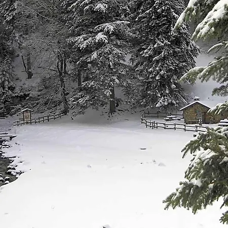 Hotel Les Cascades 3*