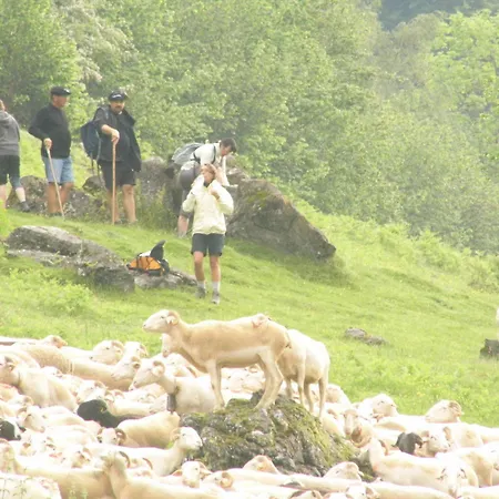 Les Cascades Отель 3*