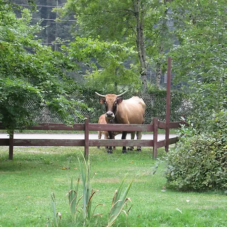 Les Cascades La Mongie