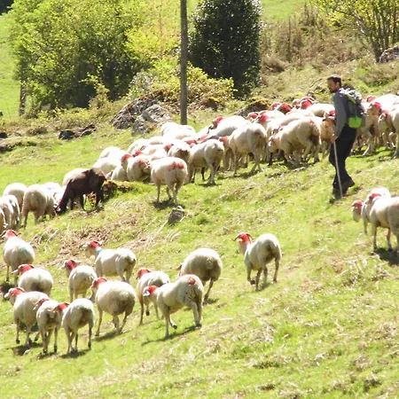Les Cascades 3* La Mongie