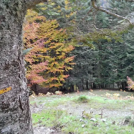 Les Cascades