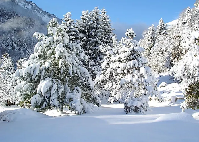 ホテル Les Cascades