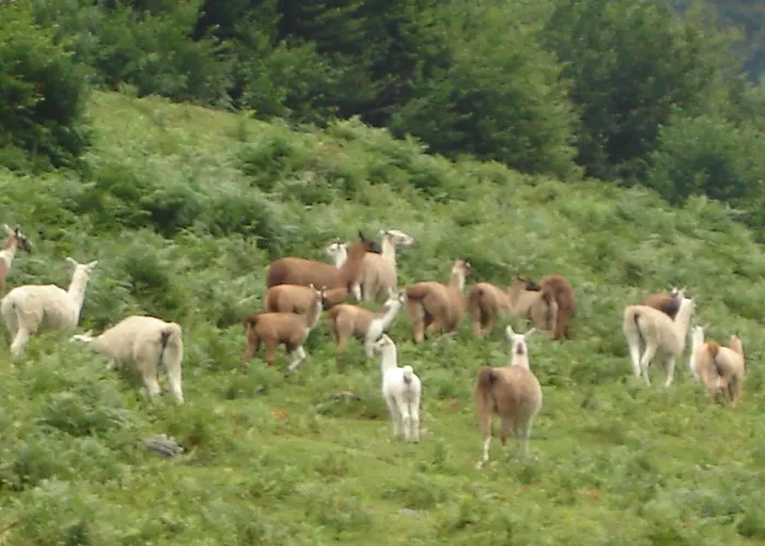 Les Cascades ラ・モンジー