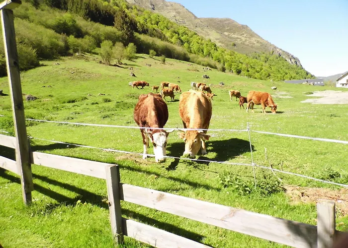 Les Cascades 3* ラ・モンジー